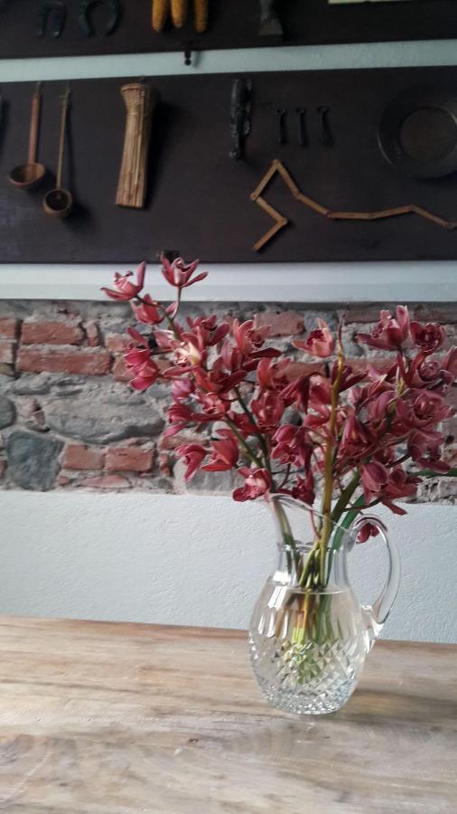 Langhe Di Liguria B&B Piana Crixia Kültér fotó